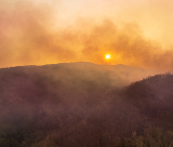 Wildfires release carbon dioxide (CO2) emissions and other greenhouse gases (GHG) that contribute to climate change.